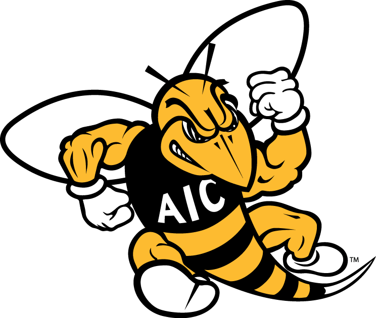 AIC Yellow Jackets 2009-Pres Primary Logo diy iron on heat transfer